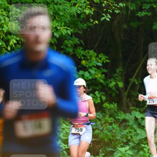 11.10.2026 - Bramfelder Halbmarathon 2026 LAZAROV Photography http://msf.ph/oto/10844539 11.10.2026 11:02:21 Laufen 759, 275, 215 meine-sportfotos.de