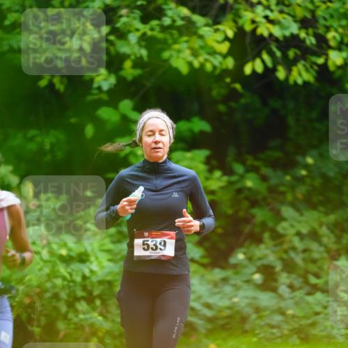 11.10.2026 - Bramfelder Halbmarathon 2026 LAZAROV Photography http://msf.ph/oto/10844551 11.10.2026 11:02:26 Laufen 539 meine-sportfotos.de