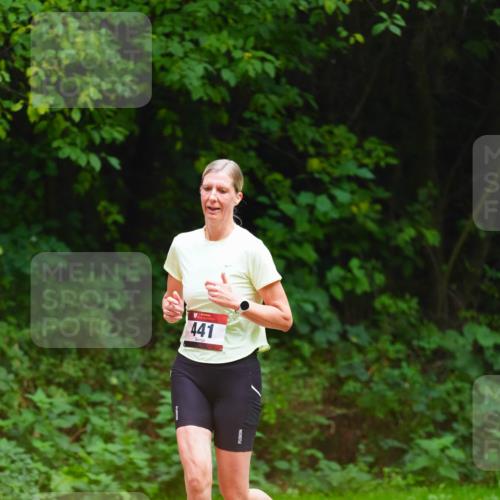 11.10.2026 - Bramfelder Halbmarathon 2026 LAZAROV Photography http://msf.ph/oto/10844664 11.10.2026 11:03:52 Laufen 441 meine-sportfotos.de
