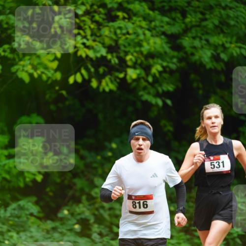 11.10.2026 - Bramfelder Halbmarathon 2026 LAZAROV Photography http://msf.ph/oto/10844680 11.10.2026 11:04:20 Laufen 816, 531 meine-sportfotos.de