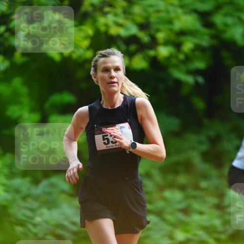 11.10.2026 - Bramfelder Halbmarathon 2026 LAZAROV Photography http://msf.ph/oto/10844687 11.10.2026 11:04:23 Laufen 53, 289 meine-sportfotos.de