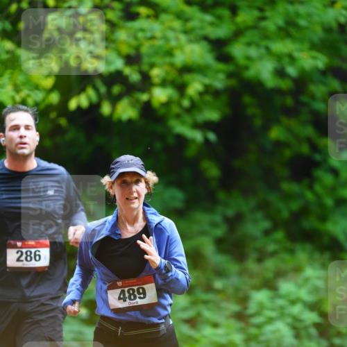 11.10.2026 - Bramfelder Halbmarathon 2026 LAZAROV Photography http://msf.ph/oto/10844705 11.10.2026 11:04:36 Laufen 286, 489 meine-sportfotos.de