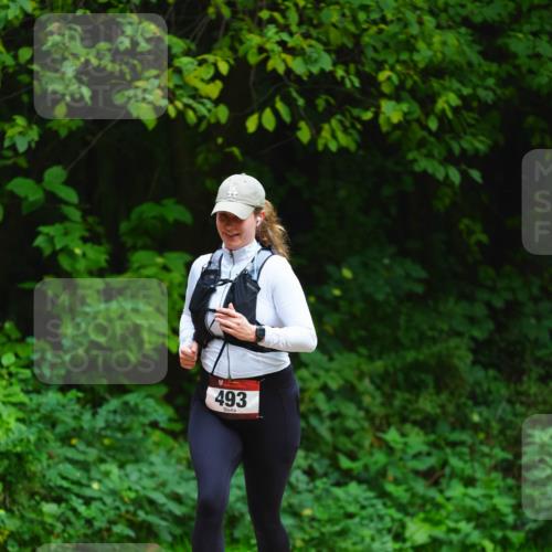 11.10.2026 - Bramfelder Halbmarathon 2026 LAZAROV Photography http://msf.ph/oto/10844848 11.10.2026 11:07:02 Laufen 493 meine-sportfotos.de
