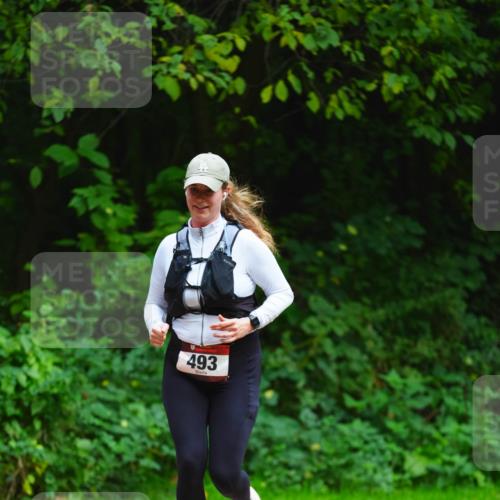 11.10.2026 - Bramfelder Halbmarathon 2026 LAZAROV Photography http://msf.ph/oto/10844849 11.10.2026 11:07:02 Laufen 493 meine-sportfotos.de