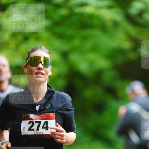 11.10.2026 - Bramfelder Halbmarathon 2026 LAZAROV Photography http://msf.ph/oto/10844925 11.10.2026 11:08:19 Laufen 274 meine-sportfotos.de