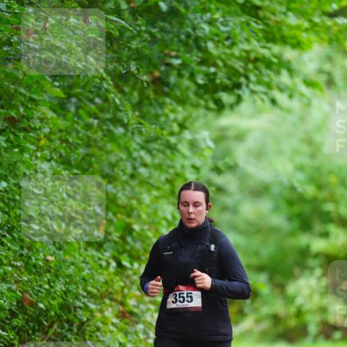 11.10.2026 - Bramfelder Halbmarathon 2026 LAZAROV Photography http://msf.ph/oto/10844972 11.10.2026 11:09:36 Laufen 355 meine-sportfotos.de