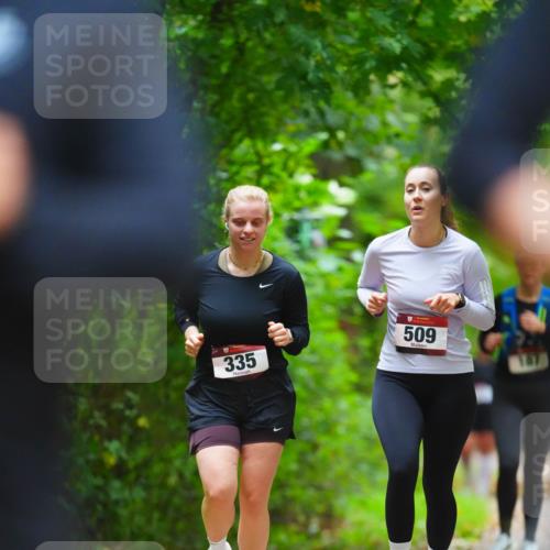 11.10.2026 - Bramfelder Halbmarathon 2026 LAZAROV Photography http://msf.ph/oto/10845103 11.10.2026 11:12:34 Laufen 335, 509 meine-sportfotos.de