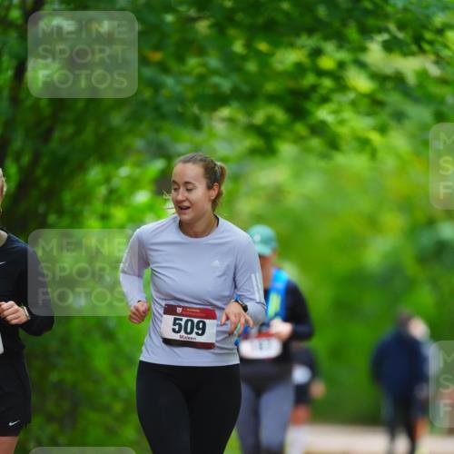 11.10.2026 - Bramfelder Halbmarathon 2026 LAZAROV Photography http://msf.ph/oto/10845106 11.10.2026 11:12:37 Laufen 509 meine-sportfotos.de