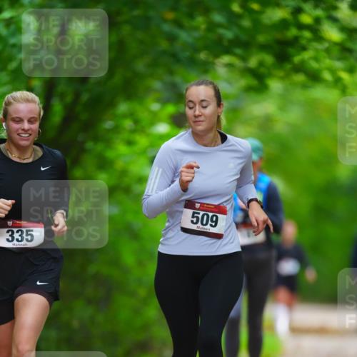 11.10.2026 - Bramfelder Halbmarathon 2026 LAZAROV Photography http://msf.ph/oto/10845108 11.10.2026 11:12:37 Laufen 335, 509 meine-sportfotos.de
