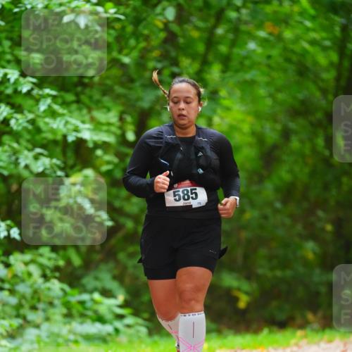 11.10.2026 - Bramfelder Halbmarathon 2026 LAZAROV Photography http://msf.ph/oto/10845114 11.10.2026 11:13:04 Laufen 585, 75 meine-sportfotos.de