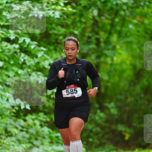 11.10.2026 - Bramfelder Halbmarathon 2026 LAZAROV Photography http://msf.ph/oto/10845115 11.10.2026 11:13:05 Laufen 585, 75 meine-sportfotos.de