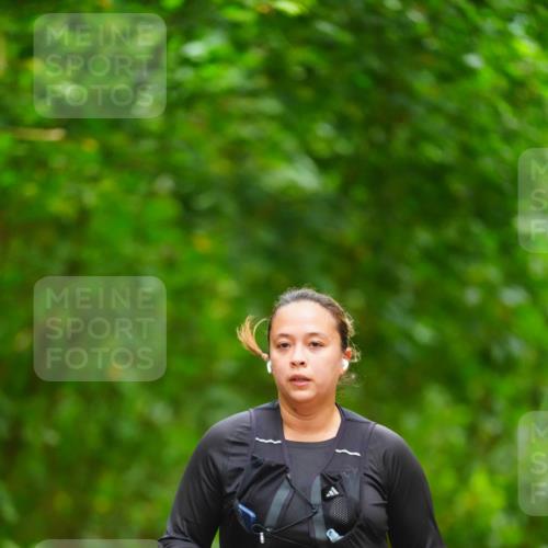11.10.2026 - Bramfelder Halbmarathon 2026 LAZAROV Photography http://msf.ph/oto/10845120 11.10.2026 11:13:08 Laufen 585, 75 meine-sportfotos.de