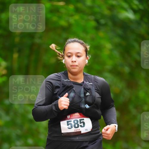 11.10.2026 - Bramfelder Halbmarathon 2026 LAZAROV Photography http://msf.ph/oto/10845123 11.10.2026 11:13:09 Laufen 585, 75 meine-sportfotos.de