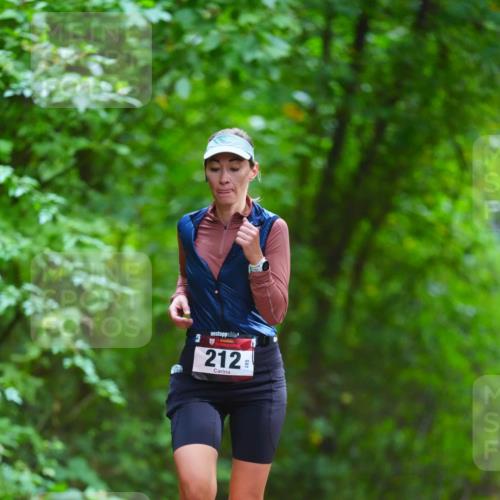 11.10.2026 - Bramfelder Halbmarathon 2026 LAZAROV Photography http://msf.ph/oto/10845150 11.10.2026 11:13:58 Laufen 3, 212 meine-sportfotos.de