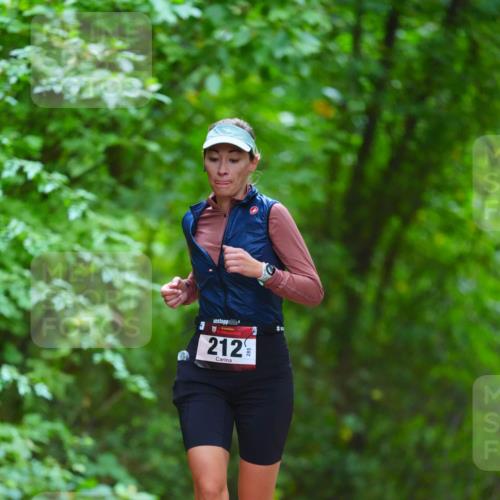11.10.2026 - Bramfelder Halbmarathon 2026 LAZAROV Photography http://msf.ph/oto/10845151 11.10.2026 11:13:59 Laufen 212 meine-sportfotos.de