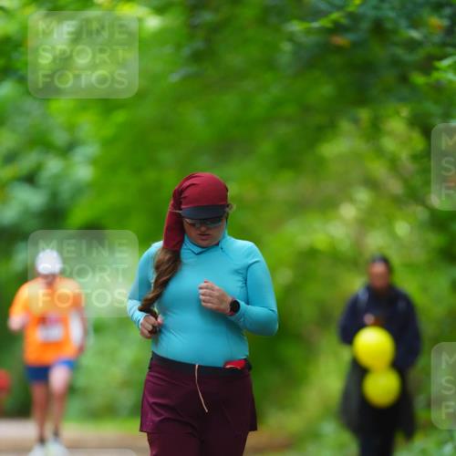 11.10.2026 - Bramfelder Halbmarathon 2026 LAZAROV Photography http://msf.ph/oto/10845171 11.10.2026 11:14:13 Laufen  meine-sportfotos.de