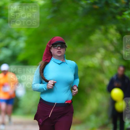 11.10.2026 - Bramfelder Halbmarathon 2026 LAZAROV Photography http://msf.ph/oto/10845175 11.10.2026 11:14:15 Laufen  meine-sportfotos.de