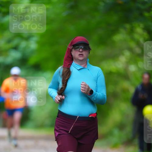 11.10.2026 - Bramfelder Halbmarathon 2026 LAZAROV Photography http://msf.ph/oto/10845176 11.10.2026 11:14:15 Laufen  meine-sportfotos.de