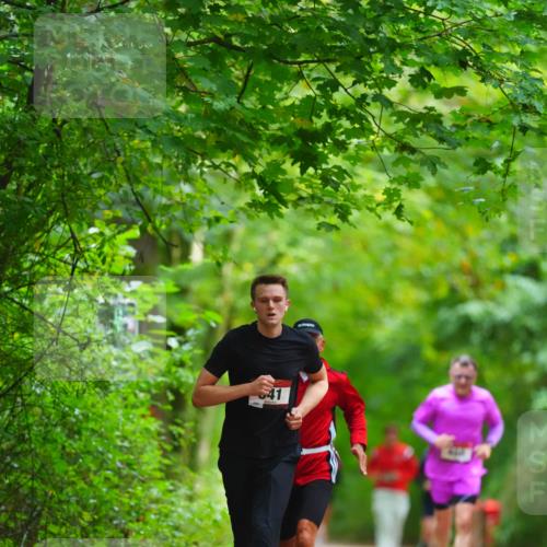 11.10.2026 - Bramfelder Halbmarathon 2026 LAZAROV Photography http://msf.ph/oto/10845221 11.10.2026 11:14:51 Laufen 41 meine-sportfotos.de