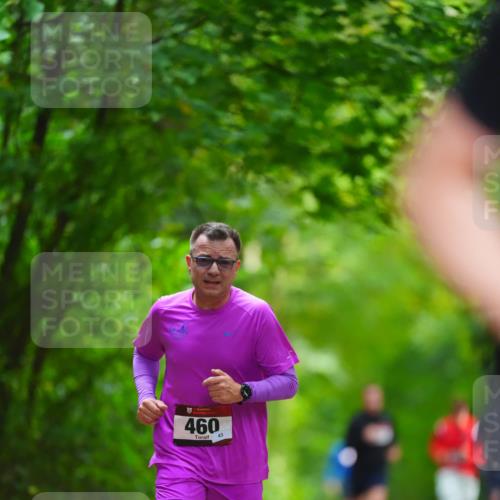 11.10.2026 - Bramfelder Halbmarathon 2026 LAZAROV Photography http://msf.ph/oto/10845241 11.10.2026 11:15:02 Laufen 460, 43 meine-sportfotos.de