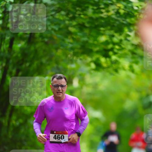 11.10.2026 - Bramfelder Halbmarathon 2026 LAZAROV Photography http://msf.ph/oto/10845242 11.10.2026 11:15:02 Laufen 460, 43 meine-sportfotos.de