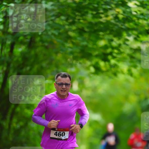 11.10.2026 - Bramfelder Halbmarathon 2026 LAZAROV Photography http://msf.ph/oto/10845243 11.10.2026 11:15:02 Laufen 460, 43 meine-sportfotos.de
