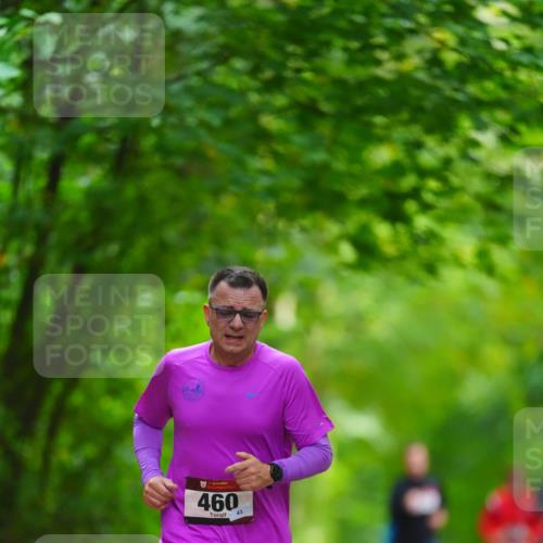 11.10.2026 - Bramfelder Halbmarathon 2026 LAZAROV Photography http://msf.ph/oto/10845244 11.10.2026 11:15:03 Laufen 460, 43 meine-sportfotos.de