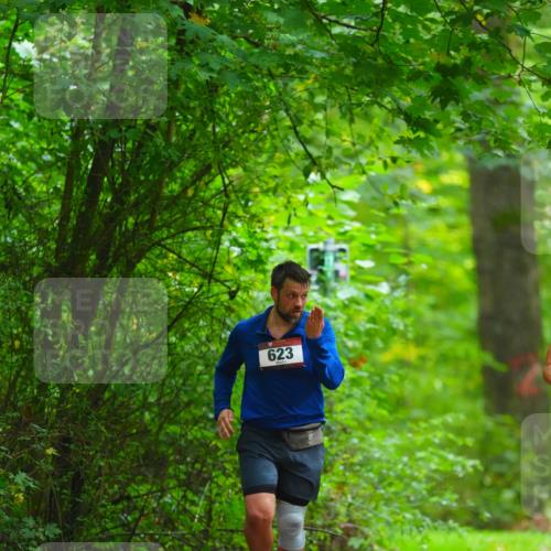 11.10.2026 - Bramfelder Halbmarathon 2026 LAZAROV Photography http://msf.ph/oto/10845297 11.10.2026 11:15:42 Laufen 623 meine-sportfotos.de