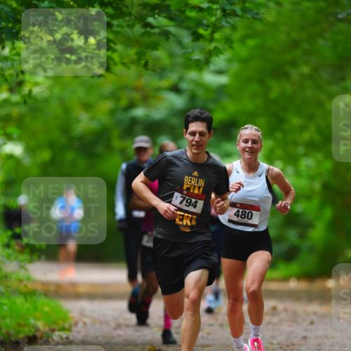 11.10.2026 - Bramfelder Halbmarathon 2026 LAZAROV Photography http://msf.ph/oto/10845320 11.10.2026 11:16:09 Laufen 794, 480 meine-sportfotos.de