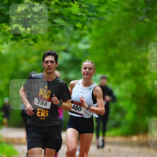 11.10.2026 - Bramfelder Halbmarathon 2026 LAZAROV Photography http://msf.ph/oto/10845324 11.10.2026 11:16:11 Laufen 794, 2019, 480 meine-sportfotos.de