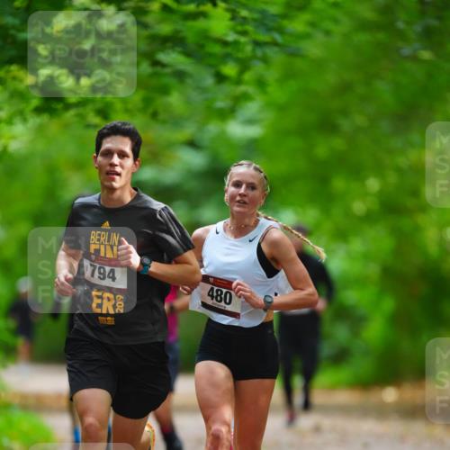 11.10.2026 - Bramfelder Halbmarathon 2026 LAZAROV Photography http://msf.ph/oto/10845325 11.10.2026 11:16:11 Laufen 794, 2019, 480 meine-sportfotos.de