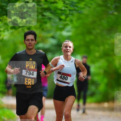 11.10.2026 - Bramfelder Halbmarathon 2026 LAZAROV Photography http://msf.ph/oto/10845326 11.10.2026 11:16:11 Laufen 794, 2019, 480 meine-sportfotos.de