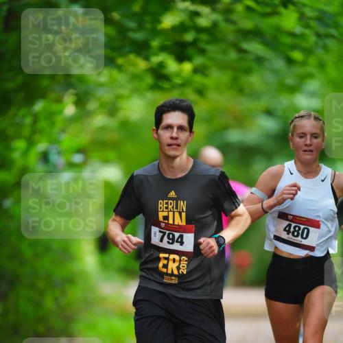 11.10.2026 - Bramfelder Halbmarathon 2026 LAZAROV Photography http://msf.ph/oto/10845327 11.10.2026 11:16:12 Laufen 794, 2019, 480 meine-sportfotos.de