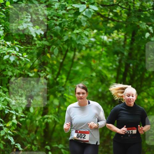 11.10.2026 - Bramfelder Halbmarathon 2026 LAZAROV Photography http://msf.ph/oto/10845398 11.10.2026 11:17:20 Laufen 602 meine-sportfotos.de