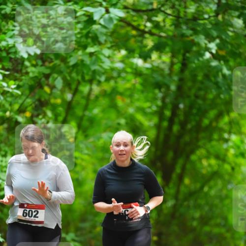11.10.2026 - Bramfelder Halbmarathon 2026 LAZAROV Photography http://msf.ph/oto/10845402 11.10.2026 11:17:21 Laufen 602 meine-sportfotos.de