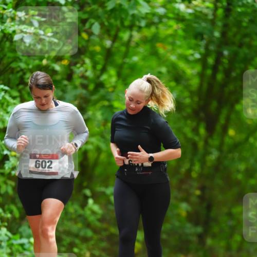 11.10.2026 - Bramfelder Halbmarathon 2026 LAZAROV Photography http://msf.ph/oto/10845404 11.10.2026 11:17:21 Laufen 602 meine-sportfotos.de