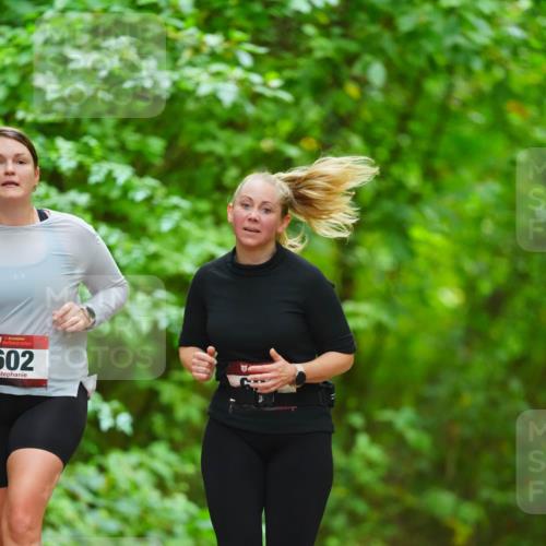 11.10.2026 - Bramfelder Halbmarathon 2026 LAZAROV Photography http://msf.ph/oto/10845407 11.10.2026 11:17:23 Laufen 602 meine-sportfotos.de