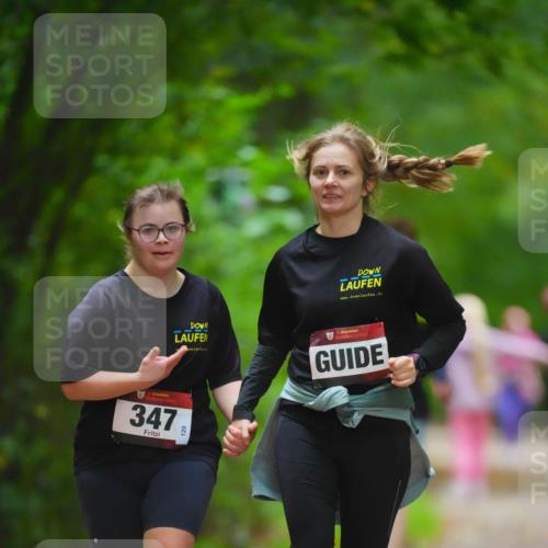 11.10.2026 - Bramfelder Halbmarathon 2026 LAZAROV Photography http://msf.ph/oto/10847880 11.10.2026 11:47:57 Laufen 347, 120, 15 meine-sportfotos.de