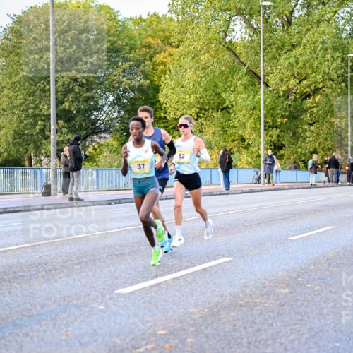 25.10.2026 - hella hamburg halbmarathon Dr. Thomas Lammeyer http://msf.ph/oto/11052600 25.10.2026 10:12:49 Kennedybrücke 37, 52 meine-sportfotos.de