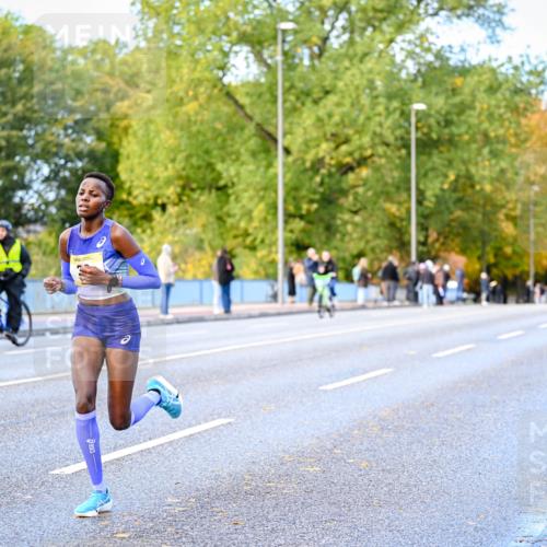 25.10.2026 - hella hamburg halbmarathon Dr. Thomas Lammeyer http://msf.ph/oto/11052650 25.10.2026 10:13:09 Kennedybrücke  meine-sportfotos.de
