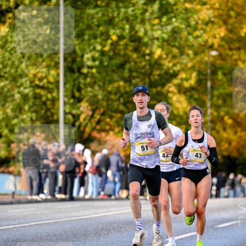 25.10.2026 - hella hamburg halbmarathon Dr. Thomas Lammeyer http://msf.ph/oto/11053336 25.10.2026 10:15:43 Kennedybrücke 51, 42, 43 meine-sportfotos.de