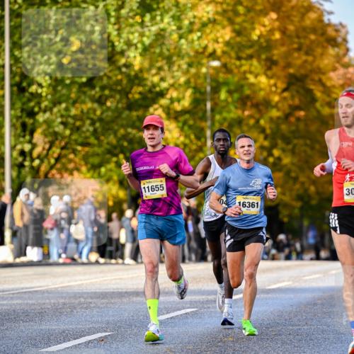 25.10.2026 - hella hamburg halbmarathon Dr. Thomas Lammeyer http://msf.ph/oto/11053724 25.10.2026 10:16:19 Kennedybrücke 11655, 30, 04, 16361 meine-sportfotos.de