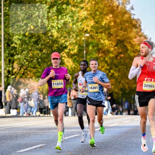 25.10.2026 - hella hamburg halbmarathon Dr. Thomas Lammeyer http://msf.ph/oto/11053727 25.10.2026 10:16:20 Kennedybrücke 11655, 9, 3, 48, 16361, 30965 meine-sportfotos.de