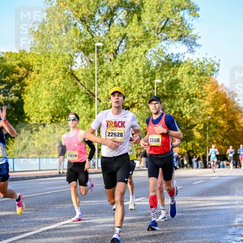 25.10.2026 - hella hamburg halbmarathon Dr. Thomas Lammeyer http://msf.ph/oto/11053991 25.10.2026 10:17:00 Kennedybrücke 33610, 22628, 58, 3388 meine-sportfotos.de