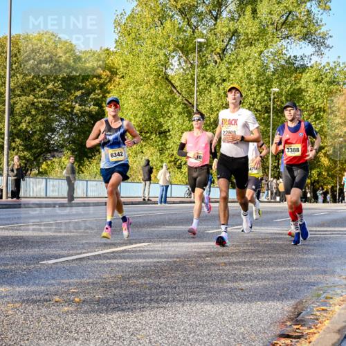 25.10.2026 - hella hamburg halbmarathon Dr. Thomas Lammeyer http://msf.ph/oto/11053992 25.10.2026 10:17:00 Kennedybrücke 6342, 10, 22628, 34752, 3388 meine-sportfotos.de