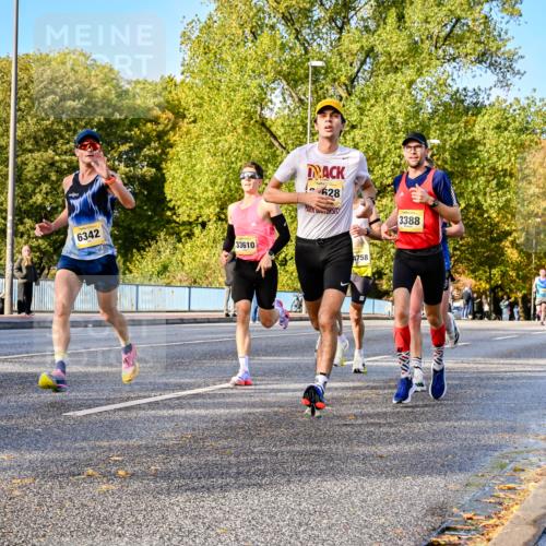 25.10.2026 - hella hamburg halbmarathon Dr. Thomas Lammeyer http://msf.ph/oto/11053997 25.10.2026 10:17:00 Kennedybrücke 6342, 33610, 628, 4758, 3388 meine-sportfotos.de