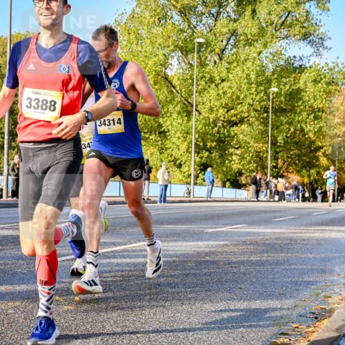 25.10.2026 - hella hamburg halbmarathon Dr. Thomas Lammeyer http://msf.ph/oto/11054007 25.10.2026 10:17:02 Kennedybrücke 3388, 34, 34314 meine-sportfotos.de