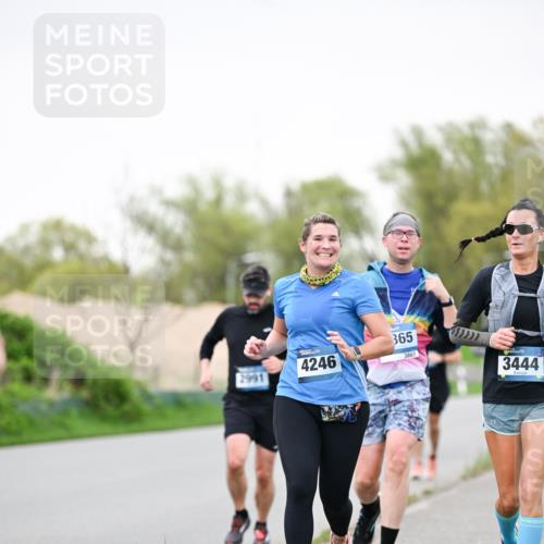 07.04.2024 - 43. Internationalen Wilhelmsburger Insellauf Dr. Thomas Lammeyer http://msf.ph/oto/6040512 07.04.2024 10:35:39 Laufen 2991, 4246, 365, 3865, 3444 meine-sportfotos.de