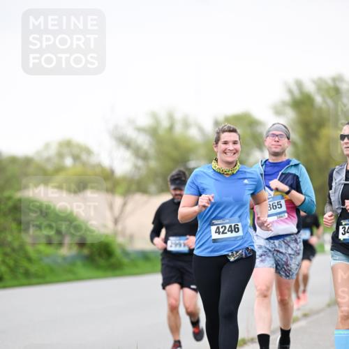 07.04.2024 - 43. Internationalen Wilhelmsburger Insellauf Dr. Thomas Lammeyer http://msf.ph/oto/6040514 07.04.2024 10:35:39 Laufen 4246, 365, 3865, 34 meine-sportfotos.de