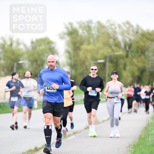 07.04.2024 - 43. Internationalen Wilhelmsburger Insellauf Dr. Thomas Lammeyer http://msf.ph/oto/6041570 07.04.2024 10:38:42 Laufen 442, 3676, 368 meine-sportfotos.de